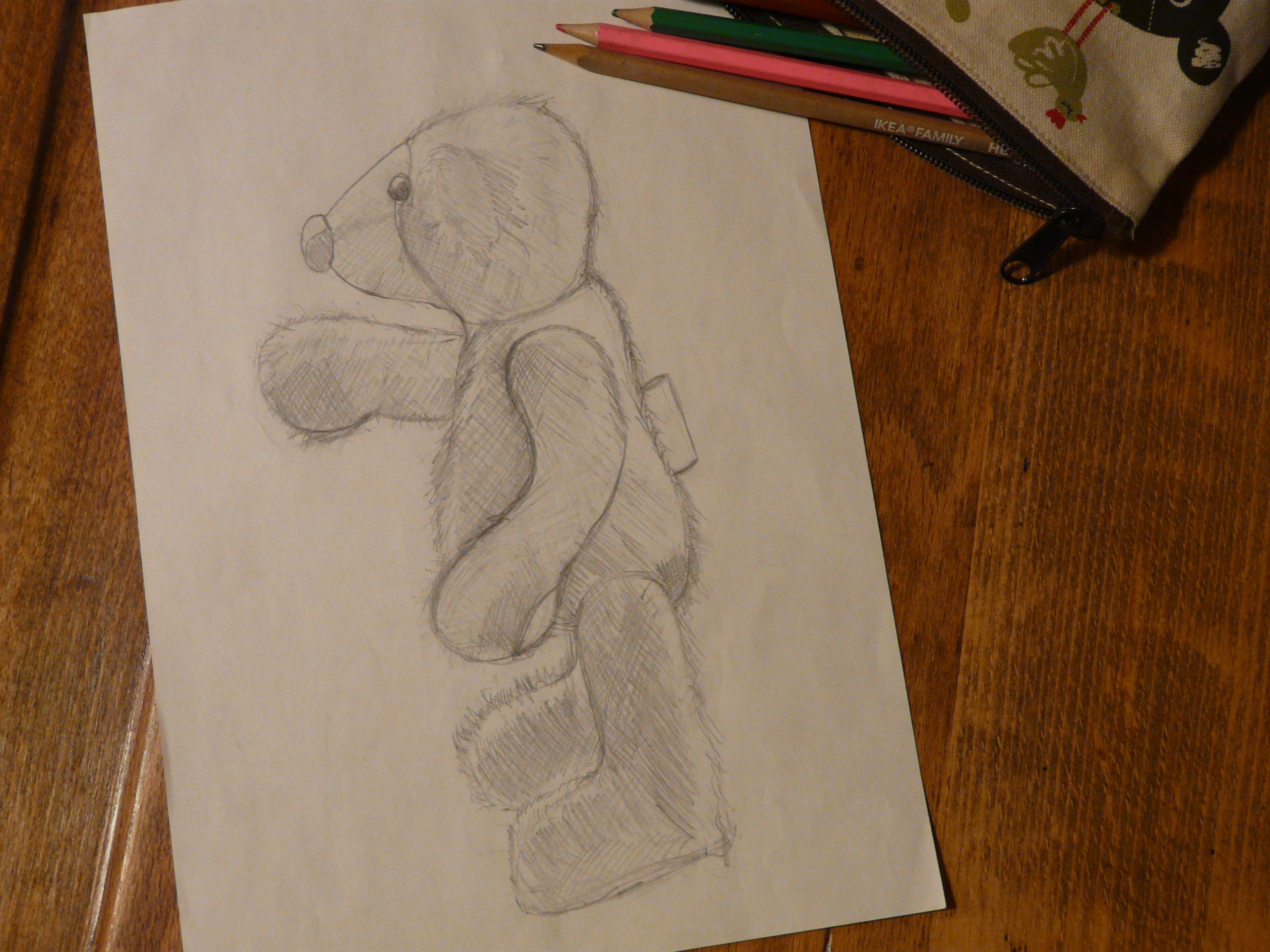 dessin ours en peluche
